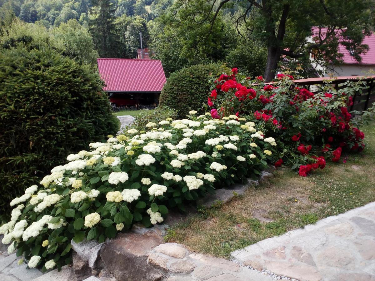 Apartamencik Na Slonecznej Piechowice  Exterior photo